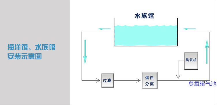 海洋館過濾，蛋分，臭氧，曝氣池.png
